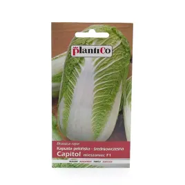 kapusta-capitol-mieszaniec-f1nasiona-02-g-plantico-370