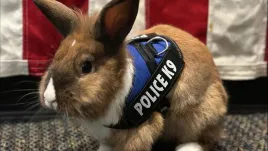 pocztowe-etykiety-samoprzylepna-105x148mm-starpak-biale-etykietki-100-ark