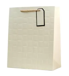 papierowa-torebka-prezentowa-kremowa-26x32-cm-canpol-twarda-torebka-ozdobna