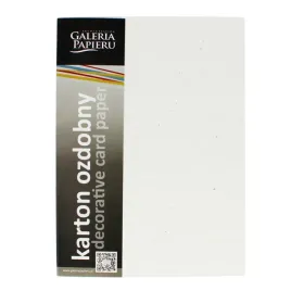 papier-wizytowkowy-a4-argo-220-g-m-20-arkuszy