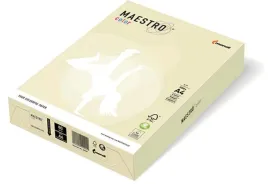 papier-biurowy-igepa-format-a4-160g-250-arkuszy