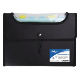 teczka-kopertowa-z-przegrodkami-na-gumke-a4-25-mm-czarna-12-przegrod-strigo