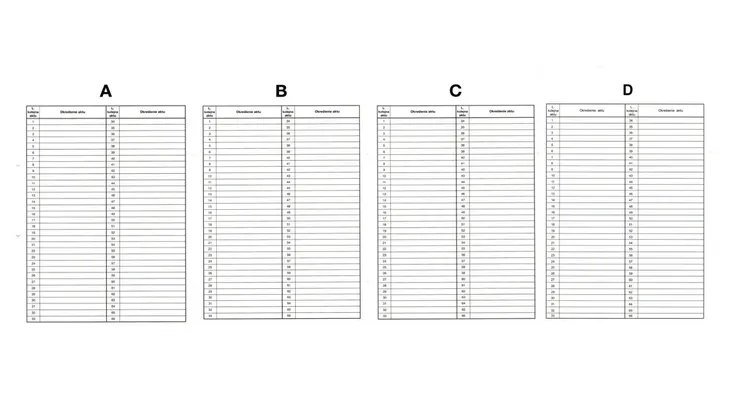 teczka-organizer-a4-biurfol-waga-z-opakowaniem-0-2-kg-typ-organizer