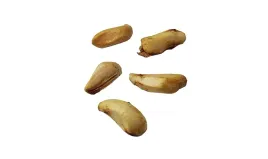 nasiona-granatowiec-wlasciwy-granat-drzewko-owoc