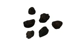 nasiona-eukaliptus-niebiesnki-srebrny-gorski-gunni