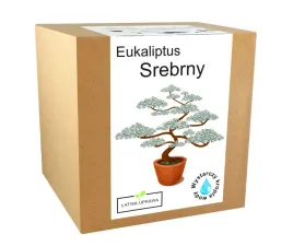 zestaw-do-uprawy-eukaliptus-niebieski-srebrny