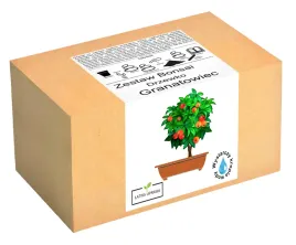 zestaw-do-uprawy-drzewka-bonsai-granatowiec-granat