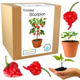 zestaw-do-uprawy-papryka-trinidad-moruga-scorpion