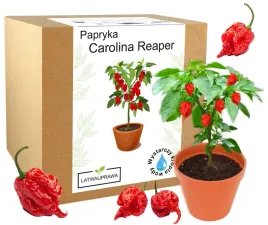zestaw-do-uprawy-carolina-reaper-hp22b-red-nasiona