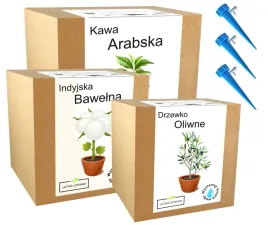 mix-zestawow-do-uprawy-kawa-strelicja-bawelna-mix