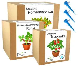 mix-zestawow-do-uprawy-drzewka-owocowe-rosliny