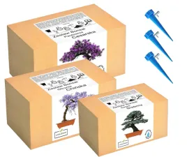 mix-zestawow-do-uprawy-drzewko-bonsai-szczescia