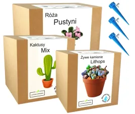 mix-zestawow-do-uprawy-doniczka-sukulenty-nasiona