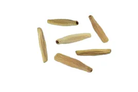 nasiona-roza-pustyni-adenium-obesum-mini-baobab