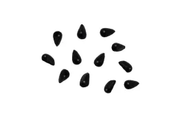 nasiona-mucholowka-roslina-owadozerna-dionaea