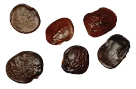 nasiona-glicynia-chinska-wisteria-bonsai-fioletowa