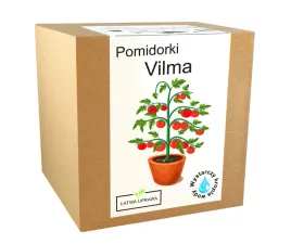 zestaw-do-uprawy-pomidor-vilma-pomidory-koktajlowe