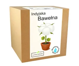 zestaw-do-uprawy-bawelna-indyjska-nasiona-ozdobna
