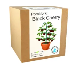 zestaw-do-uprawy-pomidor-koktajlowy-black-cherry