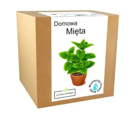 zestaw-do-uprawy-mieta-domowa-pieprzowa-nasiona