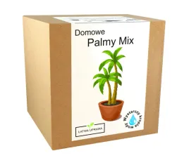 zestaw-do-uprawy-palm-nasiona-palmy-mix-egoztyczne