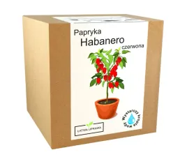 zestaw-do-uprawy-papryka-chili-habanero-czerwona