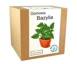 zestaw-do-uprawy-bazylia-nasiona-bazylii-xxl
