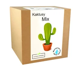 zestaw-do-uprawy-kaktusy-mix-kaktus-wersja-xxl