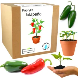 zestaw-do-uprawy-papryka-chili-jalapeno-papryki