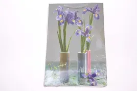 torebki-na-prezenty-lakierowane-16x24-cm-pol-mak-torebki-prezentowe-10szt