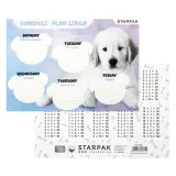 plan-lekcji-starpak-marka-starpak