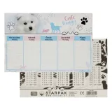 plan-lekcji-starpak-plec-chlopcy-marka-starpak