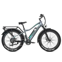 rower-elektryczny-jobobike-robin-pro-szary