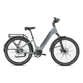 rower-elektryczny-jobobike-luxe-srebrno-szary