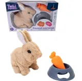 interaktywne-zabawki-kroliczek-z-akcesoriami-dydaktyczny-dla-dziecka-4-lata-marka-askato