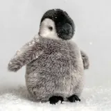 pluszak-maskotka-pingwin-cesarski-penguin-chick-ba-bohater-brak