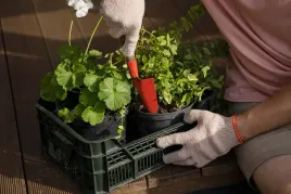 zestaw-do-przesadzania-roslin-balkonowych-biovita