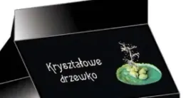 krysztalowe-drzewko-zestaw-naukowy-dla-malucha-poznaj-tajemnice-swiata