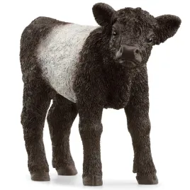 schleich-ciele-rasy-galloway-13969