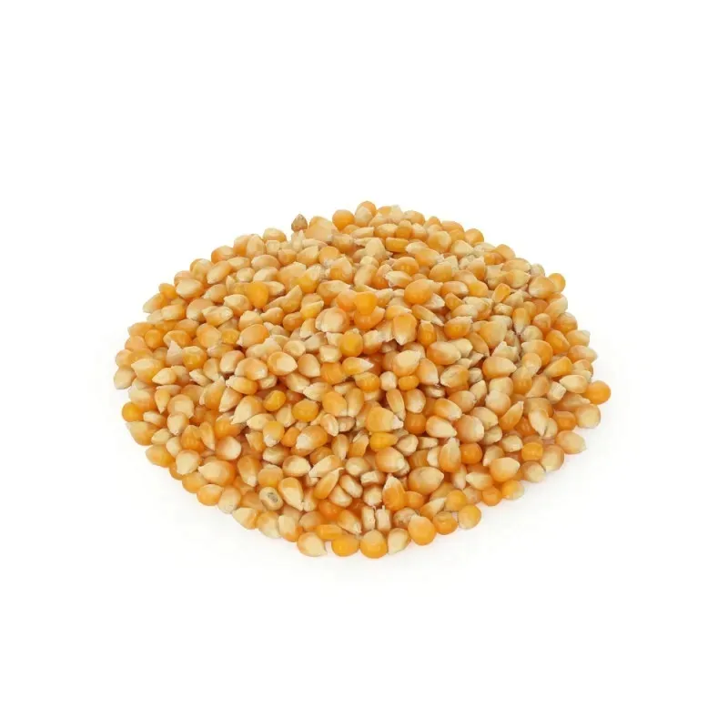 kukurydza-popcorn-1000-g-marka-promienie-slonca