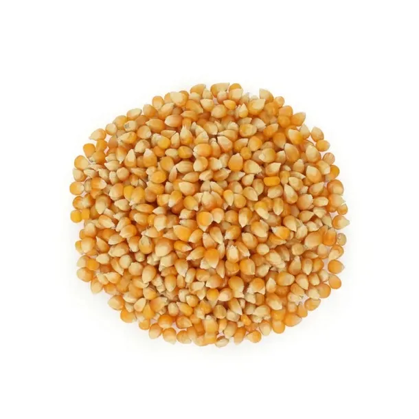 kukurydza-popcorn-1000-g-postac-nieluskane