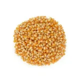 kukurydza-popcorn-1000-g-postac-nieluskane