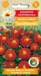 aksamitka-bonita-carmen-nasiona-kwiatow-1g-toraf