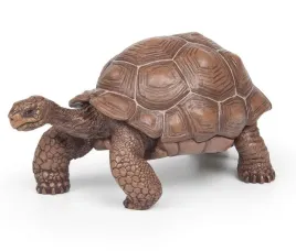 zwierzeta-zolw-z-galapagos-figurki-zabawkowe-kolekcjonerska-rozwijajace