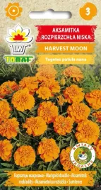 aksamitka-harvest-moon-nasiona-kwiatow-1g-toraf