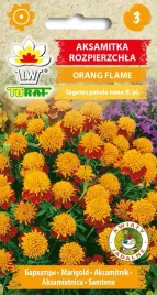 aksamitka-orange-flame-nasiona-1g-toraf