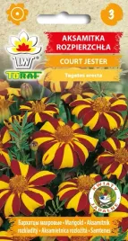 aksamitka-court-jester-nasiona-05g-toraf