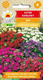 aster-karlowy-mix-nasiona-kwiatow-1g-toraf