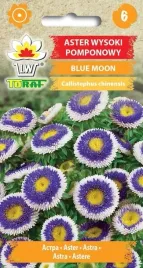 aster-pomponowy-blue-moon-nasiona-kwiatow-05g-toraf