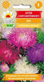 aster-chryzantemowy-mix-nasiona-1g-toraf